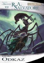 Forgotten Realms: Drowův odkaz I - Odkaz
