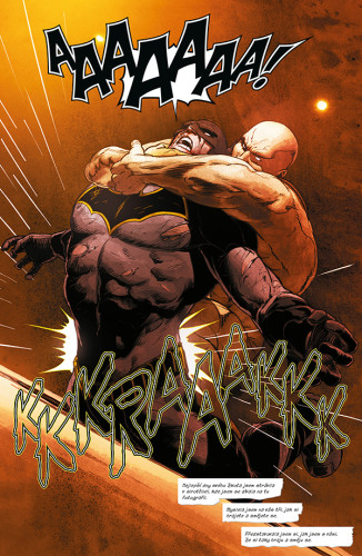 Batman 2: Já jsem sebevražda (brož.)