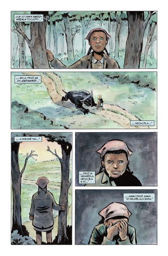 Pochmurný kraj – Odkaz 2: Říše víl